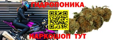 прущая мука Кулебаки